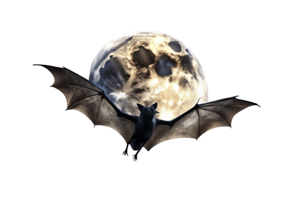 Bats Flying Across a Full Moon PNG File