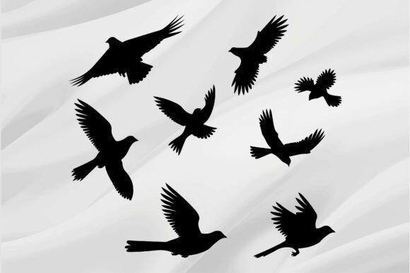 Bird Graphics for Crafts and Creative Projects