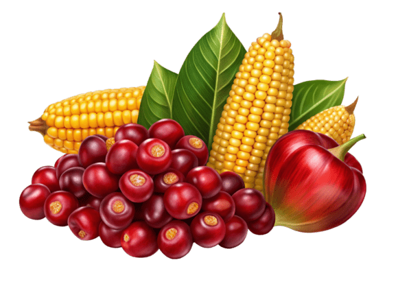 Cranberry with Leaves on Transparent Graphics